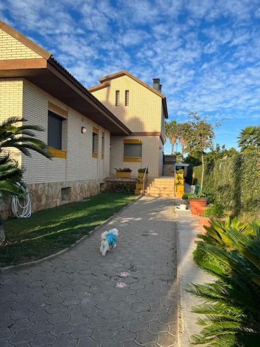 Villa Casa Parra Deltebre Exterior foto