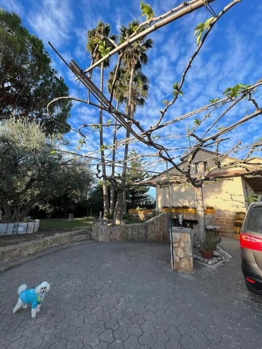 Villa Casa Parra Deltebre Exterior foto